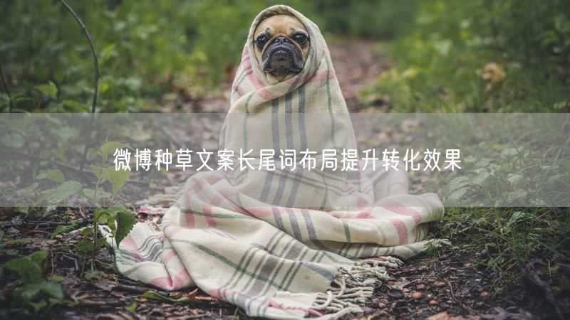 微博种草文案长尾词布局提升转化效果