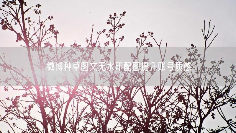 微博种草图文无水印配图提升账号质感