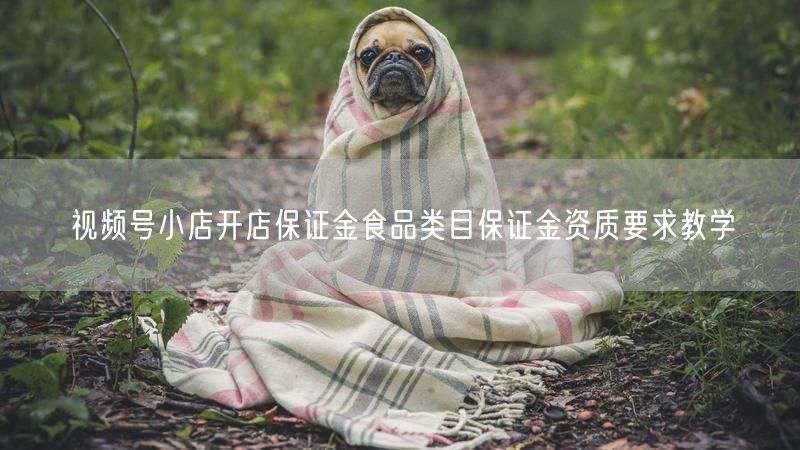 视频号小店开店保证金食品类目保证金资质要求教学