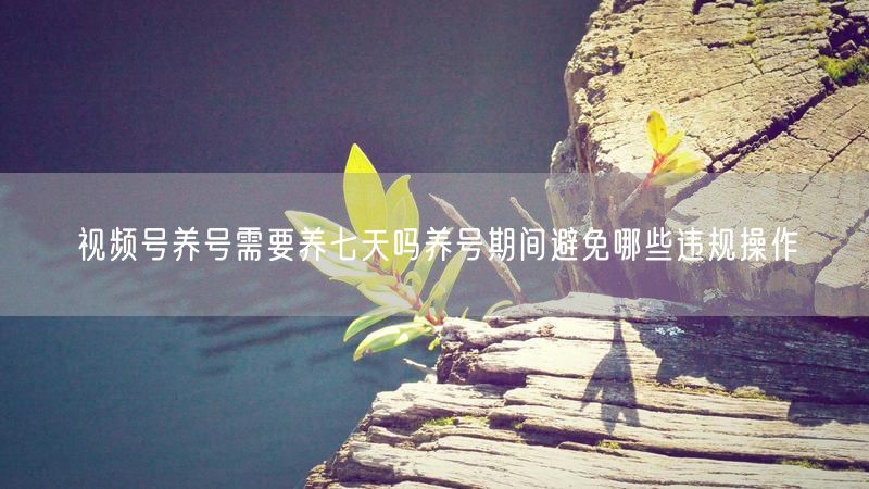 视频号养号需要养七天吗养号期间避免哪些违规操作