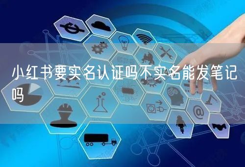 小红书要实名认证吗不实名能发笔记吗