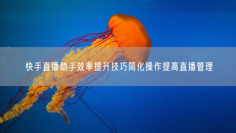 快手直播助手效率提升技巧简化操作提高直播管理