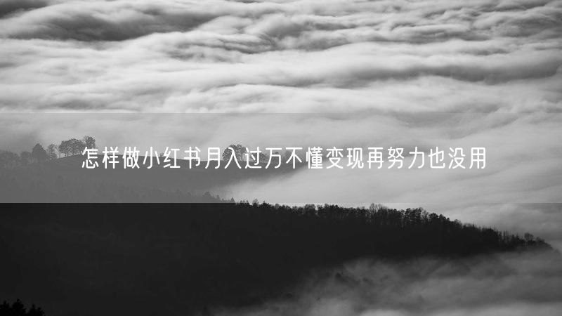 怎样做小红书月入过万不懂变现再努力也没用
