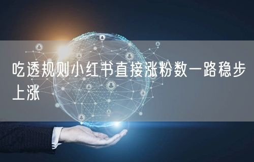 吃透规则小红书直接涨粉数一路稳步上涨