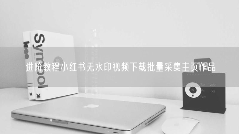 进阶教程小红书无水印视频下载批量采集主页作品