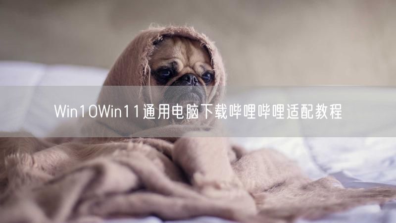 Win10Win11通用电脑下载哔哩哔哩适配教程