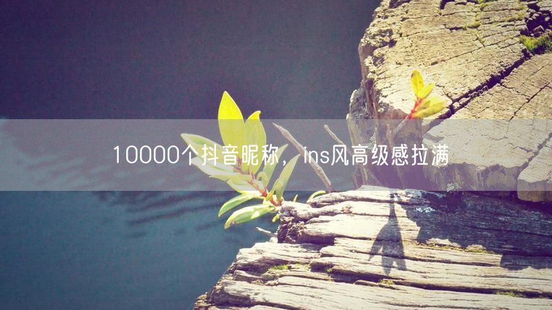 10000个抖音昵称，ins风高级感拉满