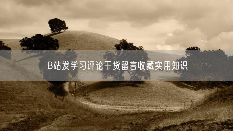B站发学习评论干货留言收藏实用知识