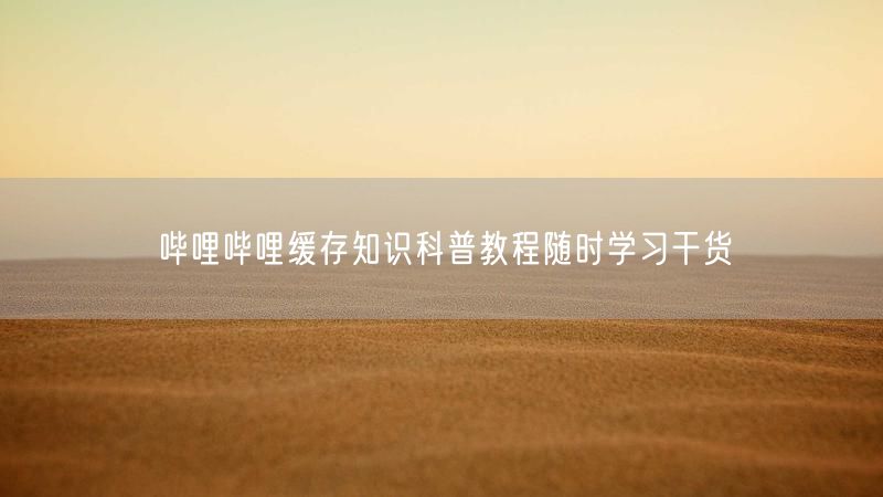 哔哩哔哩缓存知识科普教程随时学习干货