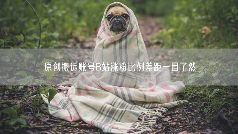 原创搬运账号B站涨粉比例差距一目了然