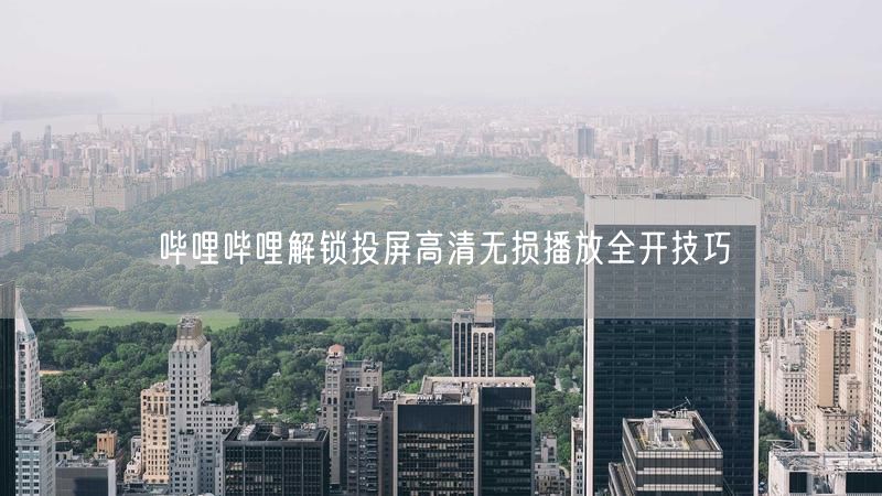 哔哩哔哩解锁投屏高清无损播放全开技巧