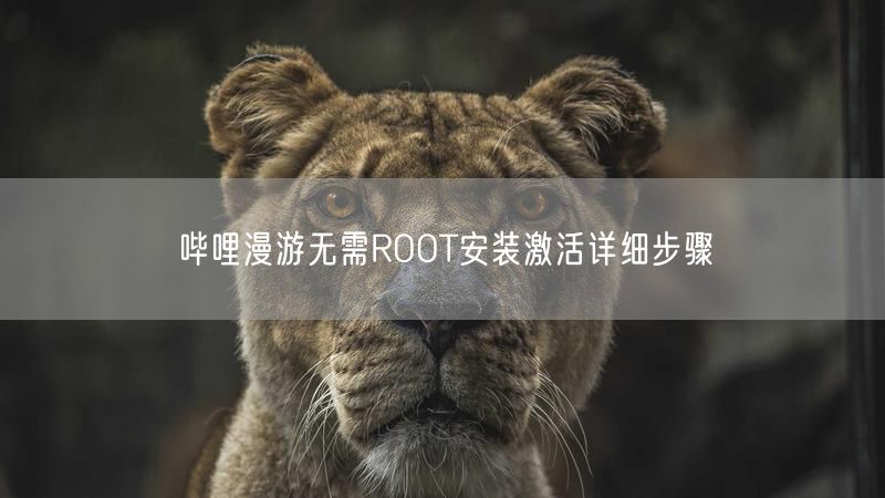 哔哩漫游无需ROOT安装激活详细步骤