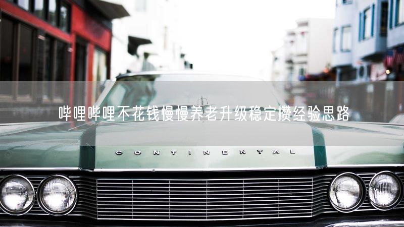 哔哩哔哩不花钱慢慢养老升级稳定攒经验思路