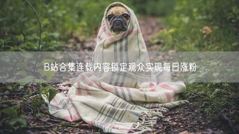 B站合集连载内容锁定观众实现每日涨粉