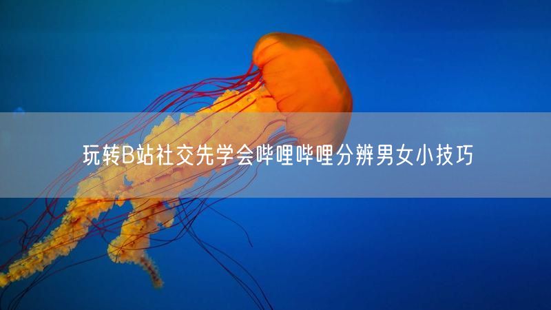 玩转B站社交先学会哔哩哔哩分辨男女小技巧