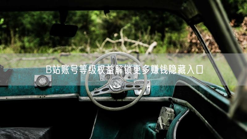 B站账号等级权益解锁更多赚钱隐藏入口