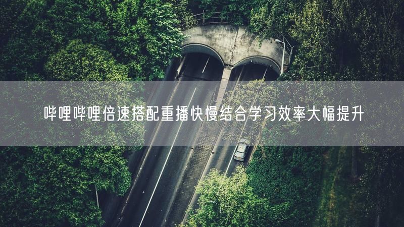 哔哩哔哩倍速搭配重播快慢结合学习效率大幅提升