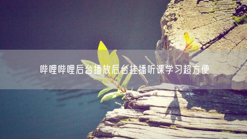 哔哩哔哩后台播放后台挂播听课学习超方便