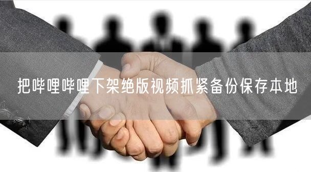 把哔哩哔哩下架绝版视频抓紧备份保存本地