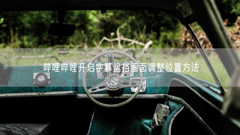 哔哩哔哩开启字幕遮挡画面调整位置方法