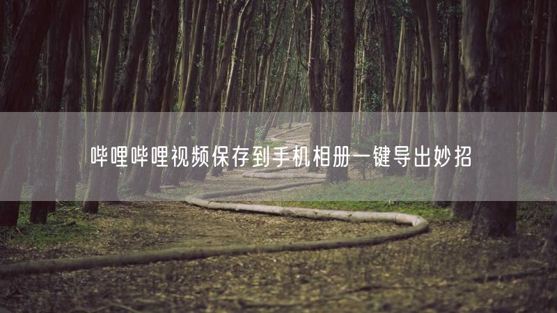 哔哩哔哩视频保存到手机相册一键导出妙招