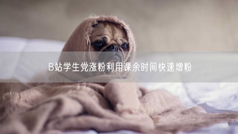 B站学生党涨粉利用课余时间快速增粉