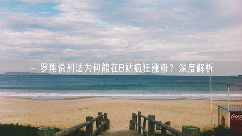 - 罗翔说刑法为何能在B站疯狂涨粉？深度解析