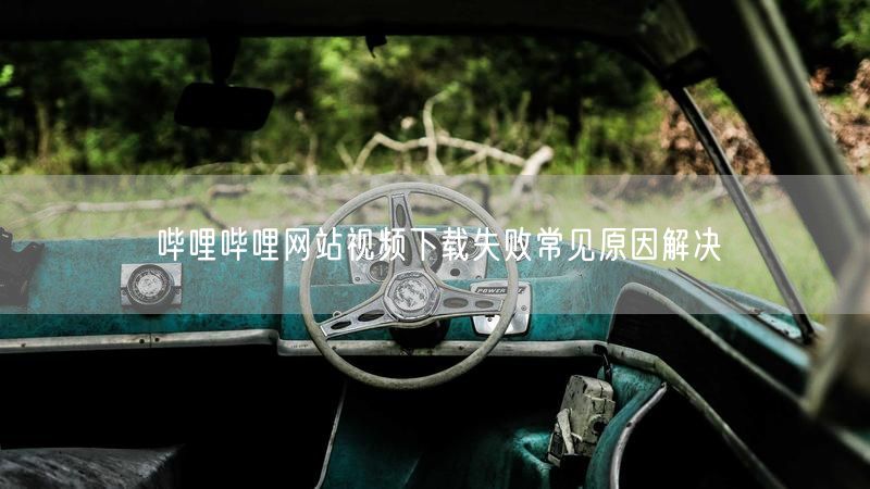 哔哩哔哩网站视频下载失败常见原因解决